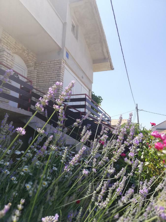 Apartmani Marija Pašman 外观 照片
