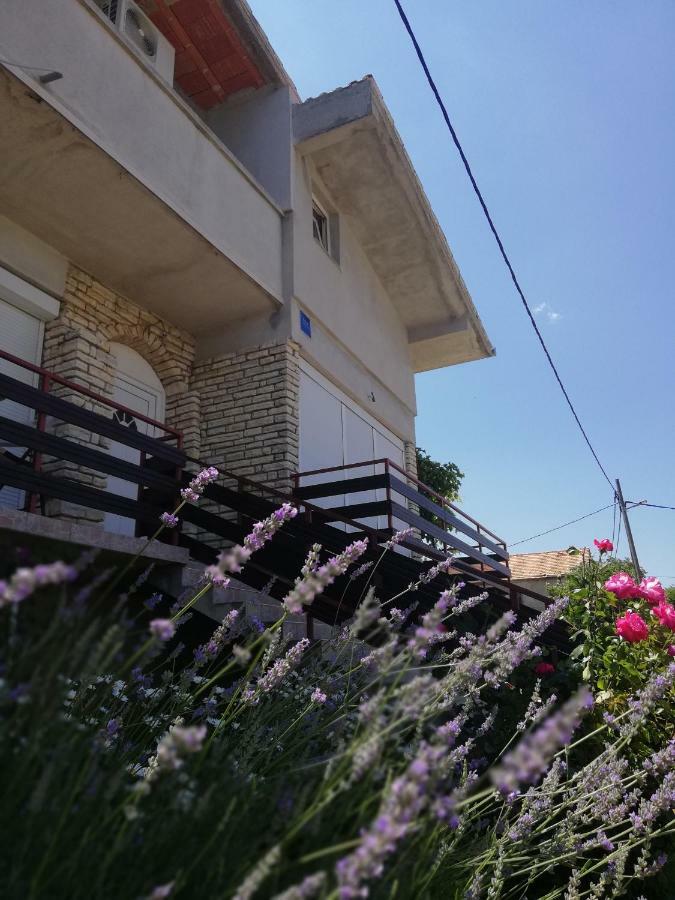 Apartmani Marija Pašman 外观 照片